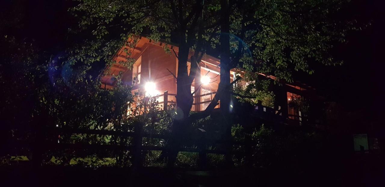 Gîte C 1.2.3 Soleil Saint-Martin-Vésubie Extérieur photo